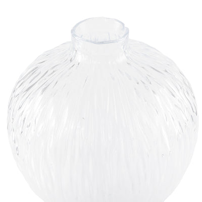 Transparent irregular-shaped glass vase