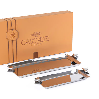 Set of 2 Rectangular Metal Serving Tray with gift box - Silver & Black