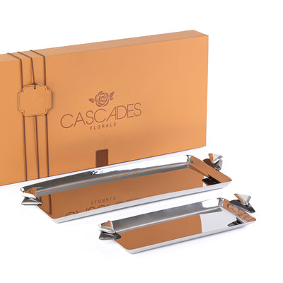 Set of 2 Rectangular Metal Serving Tray with gift box - Silver & Black