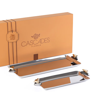 Set of 2 Rectangular Metal Serving Tray with gift box - Black & Gold