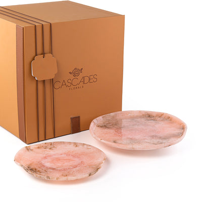 Set of 2 Resin Plates With Gift Box - Pink
