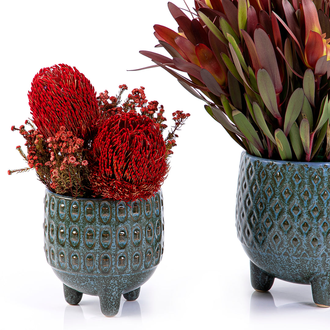 Set of safari sunset plant and Dandelion flower ceramic pot