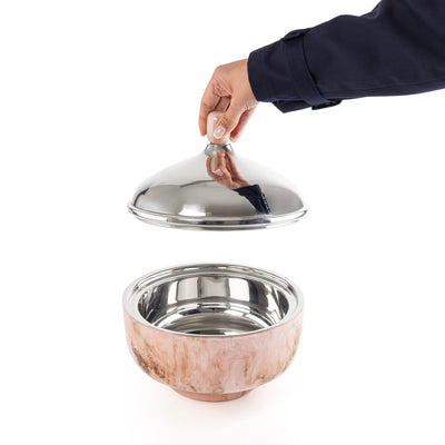 حافظ حرارة الطعام راتنج صغير - وردي