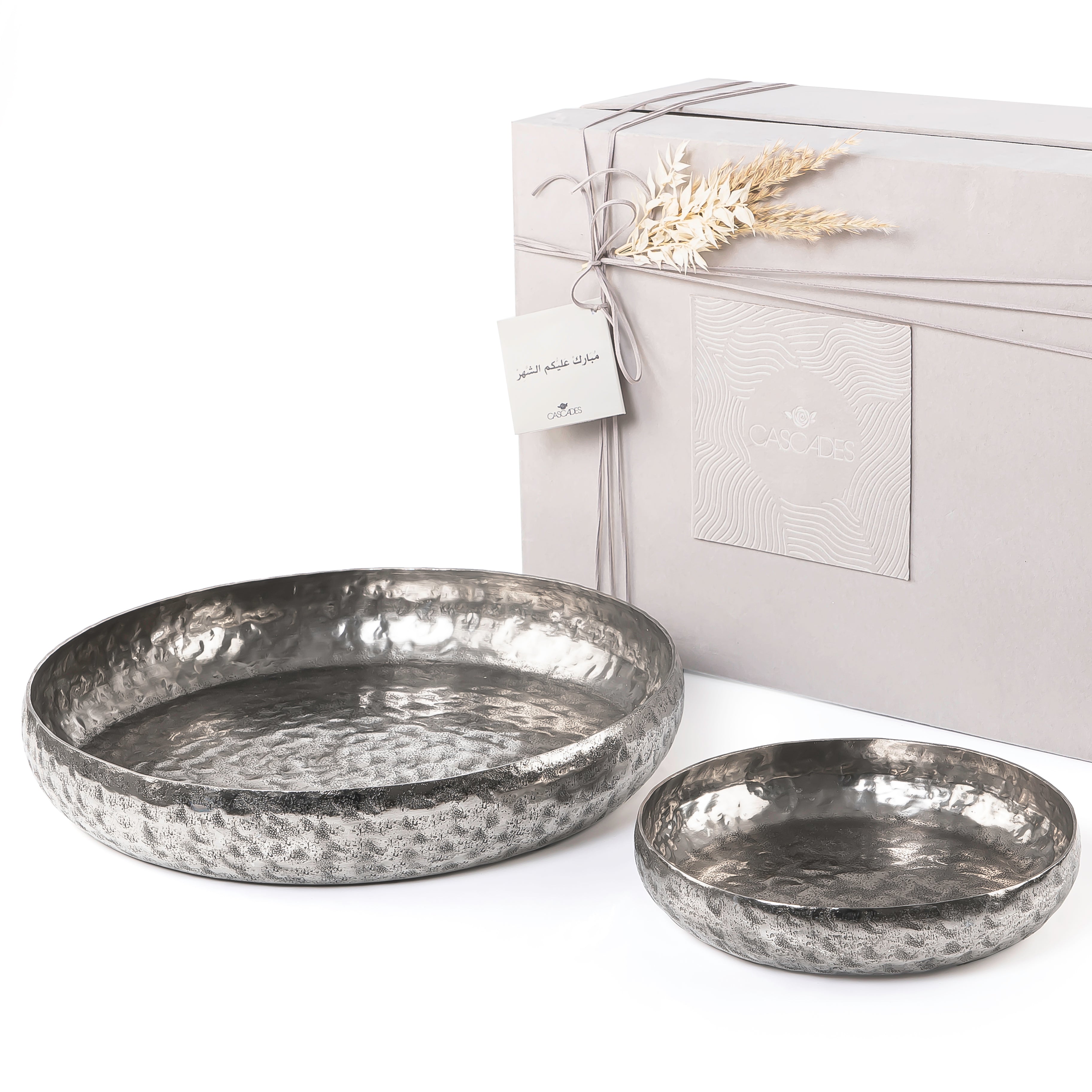 Set of 2 Silver round metal plates