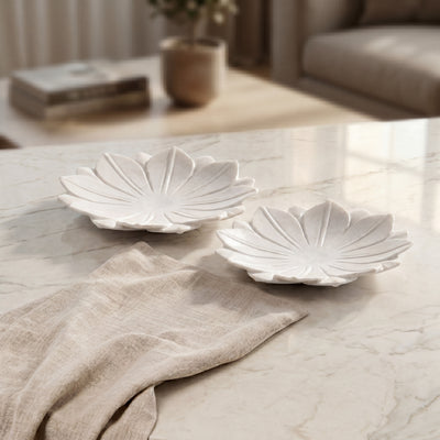 Set of 2 marble plates  with gift box