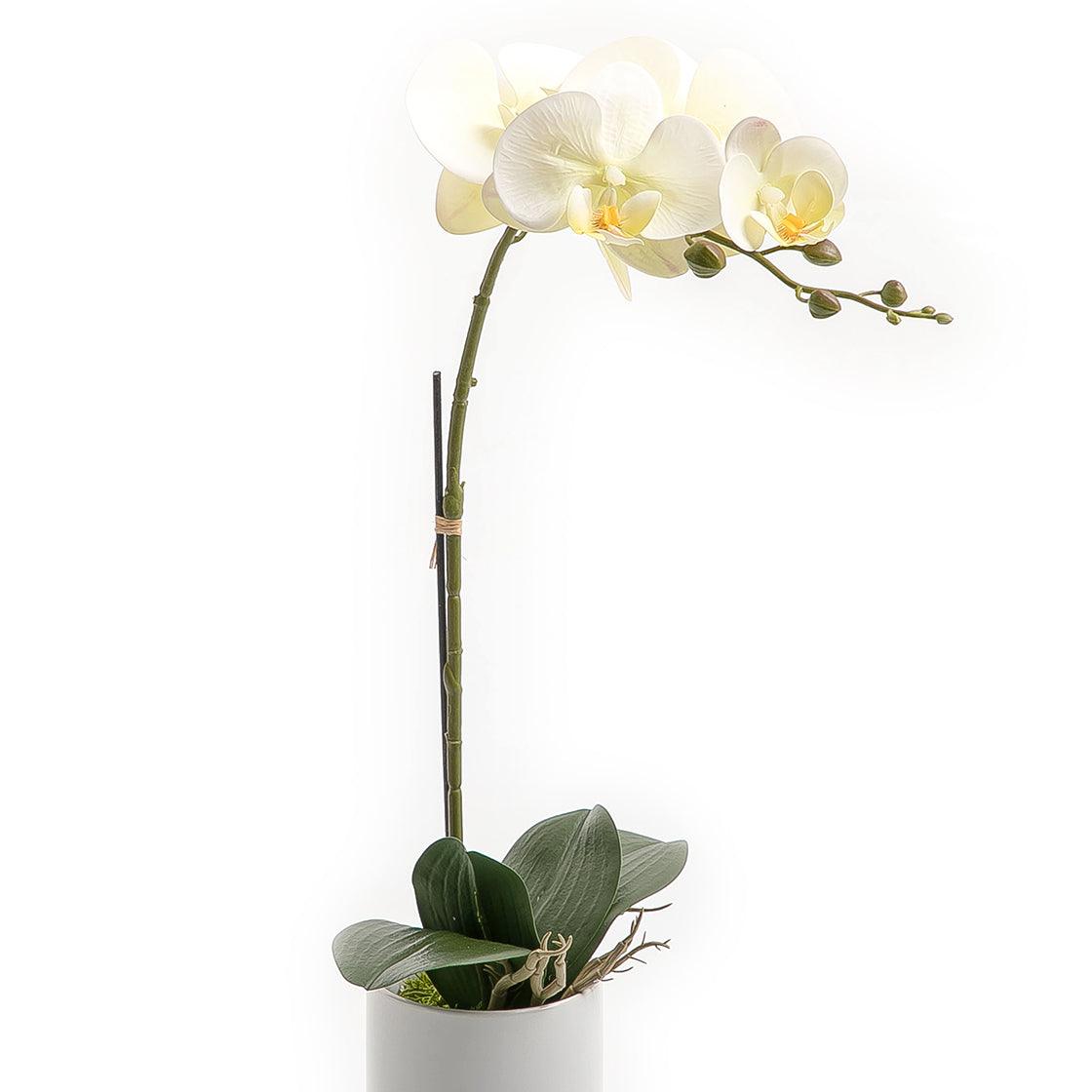 Artificial orchid - CASCADES