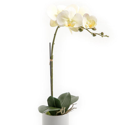 Artificial orchid - CASCADES