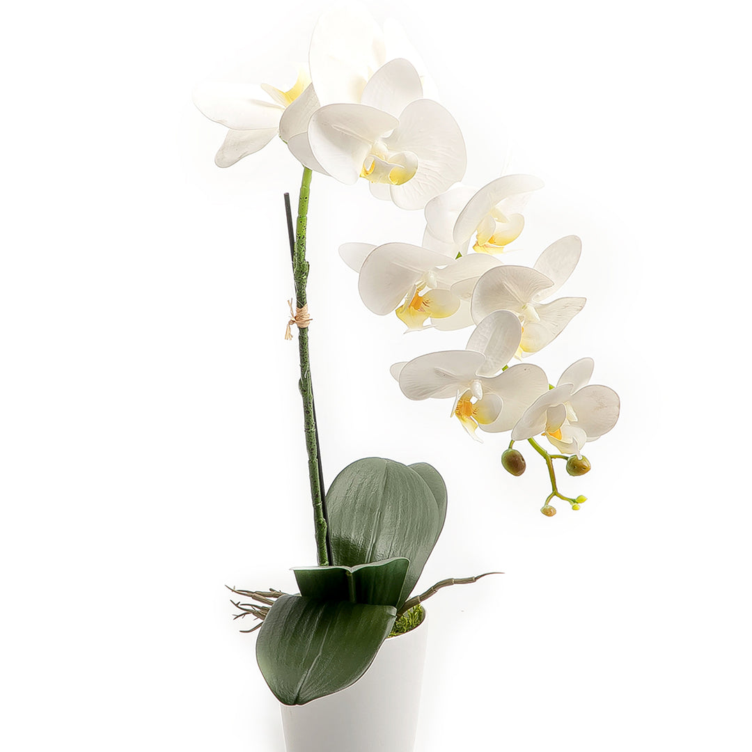 Artificial orchid