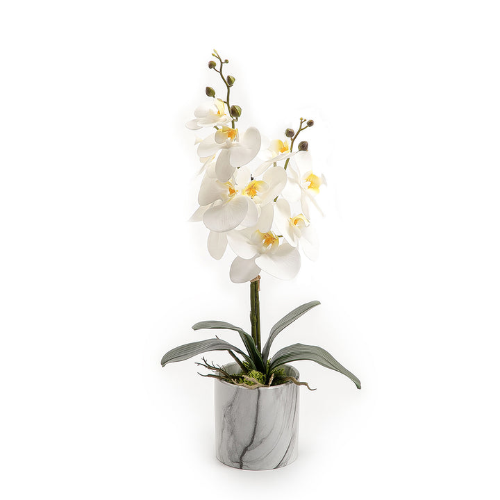 Artificial orchid