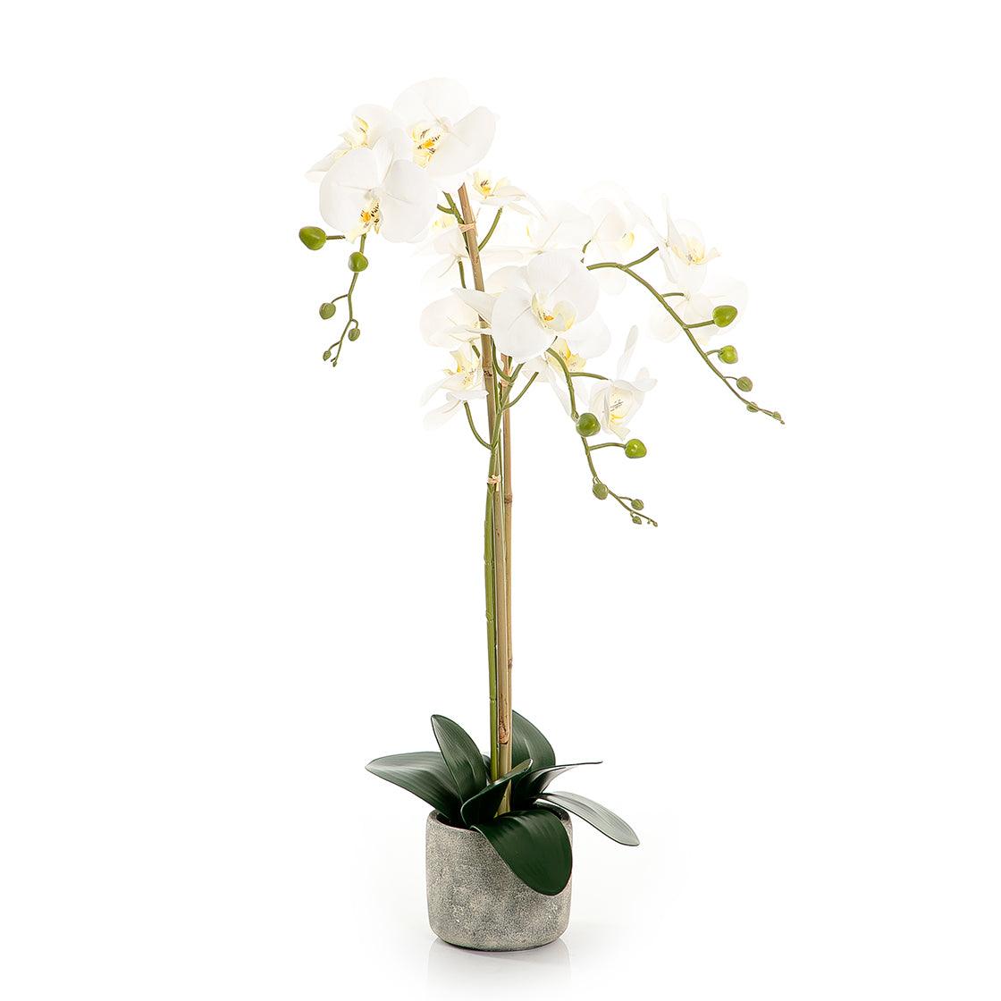 Artificial orchid - CASCADES