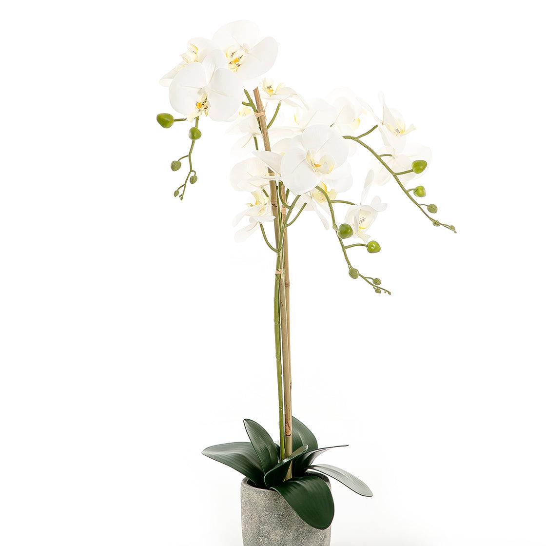 Artificial orchid - CASCADES