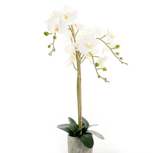 Artificial orchid - CASCADES