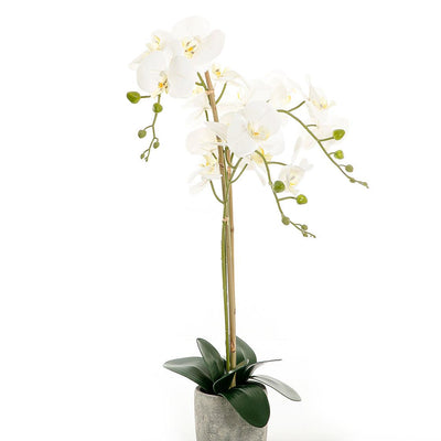 Artificial orchid - CASCADES