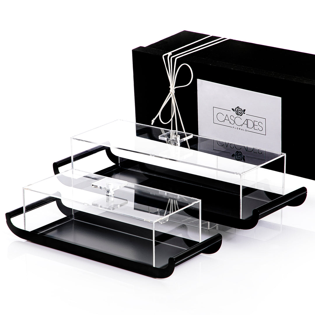 Set of 2 metal trays with acrylic covers and gift box
