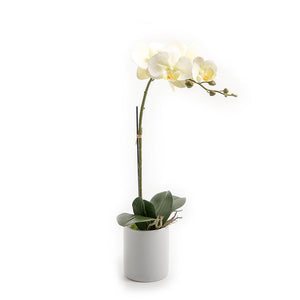 Artificial orchid - CASCADES