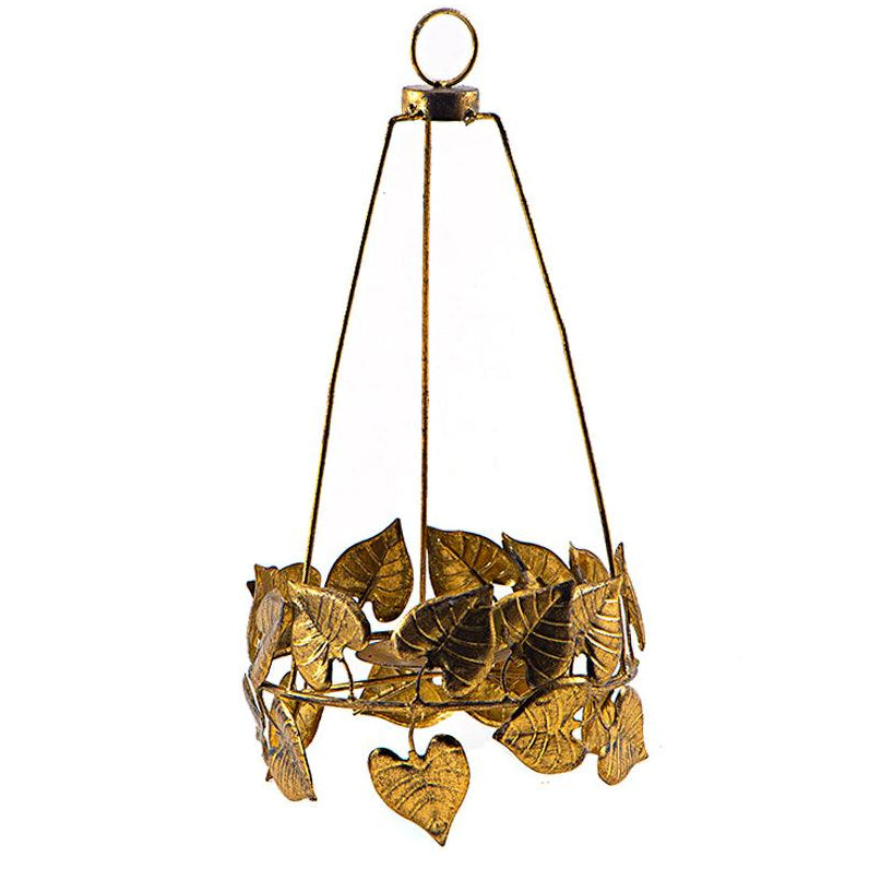 شمعدان  - اوراق الشجر الملتفة (4926338007085)